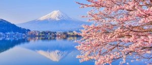 consejos primavera japon japonismo