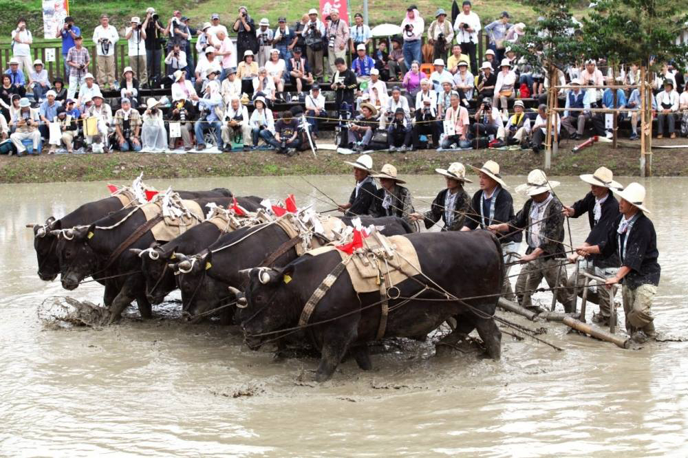 Doronko Matsuri - Festival del Barro
