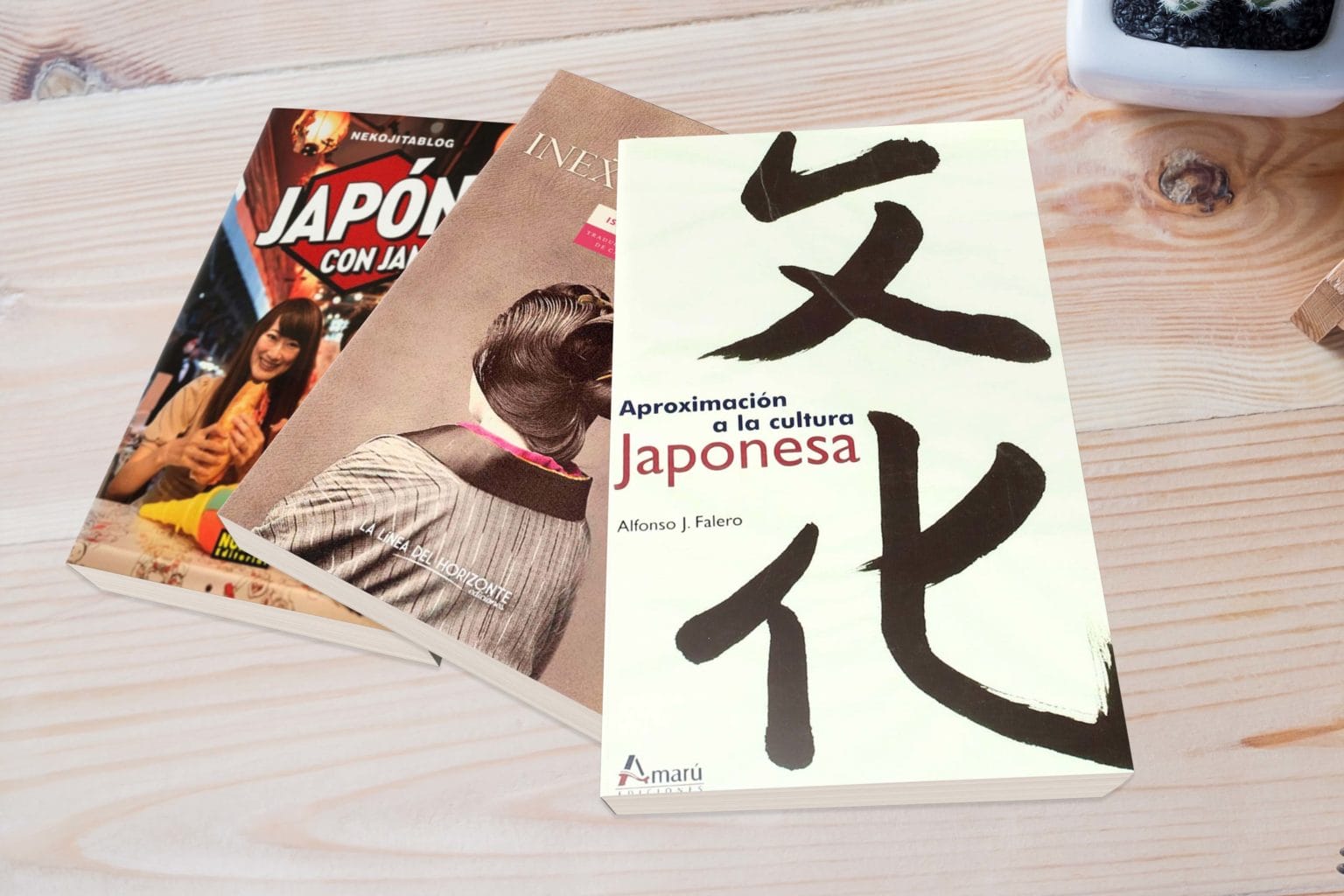 Libros recomendados para viajar a Japón
